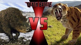 Woolly Rhinoceros vs Sabertooth Tiger [upl. by Yelrahc]