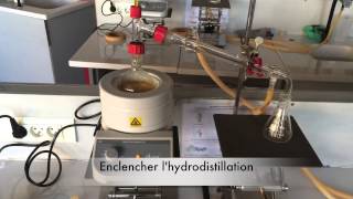 Extraction dhuile essentielle dorange par hydrodistillation [upl. by Ertha423]