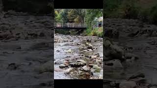 Fly over the gold river in Tyndrum drone travel nature greatglenway riverglen [upl. by Gilbertina]