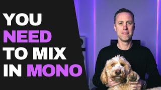 WHY YOU NEED TO MIX IN MONO  Streakycom [upl. by Thgiwd]