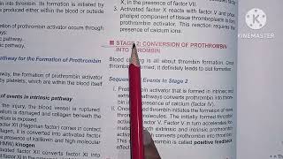 Coagulation of blood  Chapter 18 Stages of blood clotting  Enzyme cascade theory physiology [upl. by Aerdnaid]