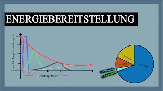 Energiebereitstellung im Muskel  Verlauf mit Erklärung  Grafiken  Knowhow fürs Training [upl. by Parris]