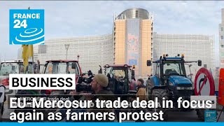 France will not accept Mercosur trade deal in current form French PM tells EU • FRANCE 24 English [upl. by Erna818]