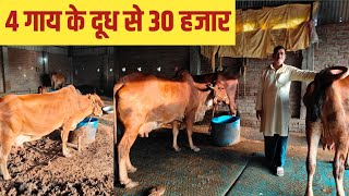 4 गाय से 30 हज़ार की कमाई होती है इस Dairy Farm पर  Dairy Farming [upl. by Valer]