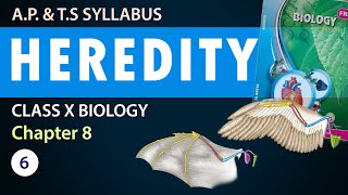 Class 10 heredity and evolution in Telugu 10th Biology Chapter 8  AP amp TS Syllabus  Part6 [upl. by Deming733]