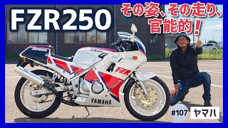 【FZR2502KR】4ストレプリカ決定版！スマートな走りとスタイルに惚れた！至高の初期型、レーサー気分【2RF 3HX】 [upl. by Nylsoj]