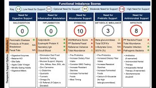 About The GI Effects Comprehensive Stool Test [upl. by Nan778]