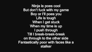 Die Antwoord  Enter The Ninja Lyrics on Screen [upl. by Nerual]