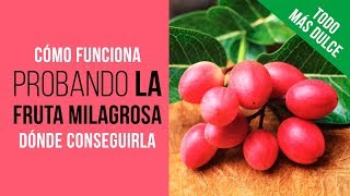 La FRUTA MILAGROSA 🍇con los 3 efectos QUE AUN NO CONOCES 😜FUNCIONA Ledidi de Natures Wild Berry [upl. by Aniram]