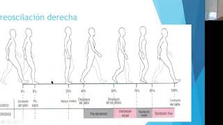 Ciclos de la Marcha según NeumannBiomecánica de la marcha [upl. by Tapes]