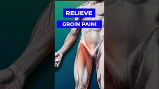 Get RID of Groin Pain FAST with This [upl. by Ludovika948]