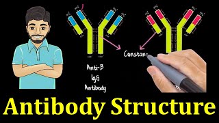 Structure of antibody molecule [upl. by Arelc]