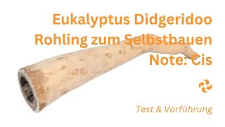 Individuelles Eukalyptus Didgeridoo  Rohling in Note Cis zum Selbstbauen – Test und Klangvorführung [upl. by Nnylhsa441]