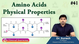 41 Amino Acids  Physical Properties [upl. by Nwahsem]