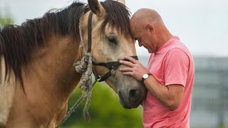 10 Reencuentros Entre Animales amp Humanos Más Conmovedores [upl. by Sahcnip]