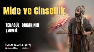 Tenasül Organının Şehveti  İmam Gazalî Hz  Sesli Kitap [upl. by Giraldo47]