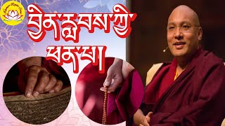 HH Karmapas teaching about blessing help us rumtekkarmaekhenpo karmapa rinpoche tibettv [upl. by Yeblehs]