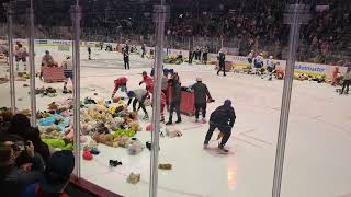 Teddy bear toss at Abbotsford Canucks game 2023 [upl. by Etnaihc]