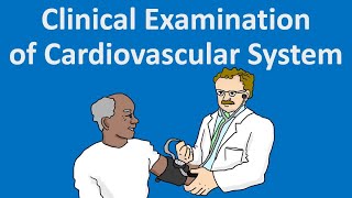 Clinical Examination of Cardiovascular System [upl. by Aierdna719]