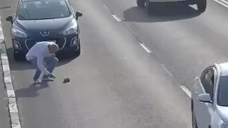 Sur une autoroute un chaton sauvé par un conducteur [upl. by Beulah887]