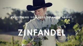 Everything You Need to Know About Zinfandel with Joel Peterson  Wine Oh TV [upl. by Janeen]