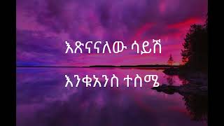 🛑Tamirat Desta Hakime Nesh lyrics Ethiopian Music [upl. by Basso]