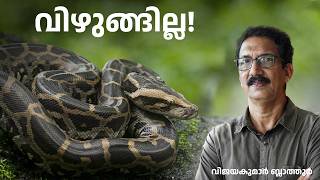 പെരുമ്പാമ്പിന് കാലുണ്ടായിരുന്നു Can a python eat a man malayalam science education മലയാളം [upl. by Alyek]