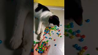 Super satisfying reverse asmr beads asmr reversevideo catbarsik beads [upl. by Cosme]