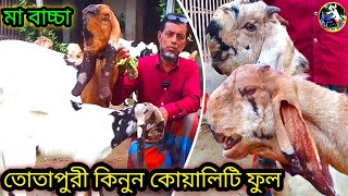 তোতাপুরী খামার কোয়ালিটি ফুল তোতাপুরী ছাগল কিনুন জংলি তোফাজ্জল ভাইয়ের ফার্ম থেকে 🥰 [upl. by Assylla]