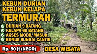 Lahan Kebun Durian dan Kelapa TERMURAH Pinggir Sungai  Rp 80 jt  ABAH PROPERTI [upl. by Namzzaj599]