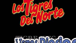 Orgullo MalditoLos Tigres del Norte Album Incansables Año 1991 [upl. by Matti]