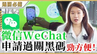 【通關必備】過關黑碼申請簡易教學，微信WeChat輕鬆處理內地健康申報，往返大灣區冇難度。 [upl. by Minette]