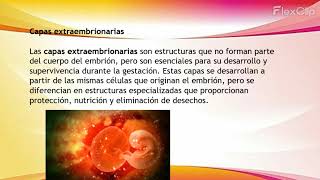 Desarrollo embrionario [upl. by Ahsym]