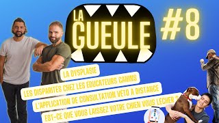 La Gueule  8 Les disparités chez les éducateurs canins  La dysplasie chez le chien [upl. by Paza]