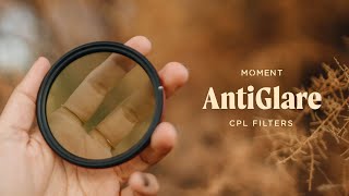 What Does A CPL Filter Do  A Guide to Filters for Beginners [upl. by Atikehs]