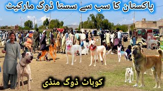 Ramazan Ki Waja Sy Dog Market Mai Rates Bhot Kam  Biggest Dogs Market In Pakistan dogsmarket [upl. by Oicirtap797]