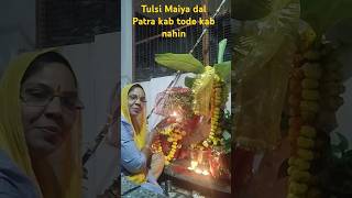 Tulsi todna kab nishedh haijaane aniruddhacharya ji seTulsi Mahimamvlogyoutubeytshortfeed ytv [upl. by Nnylarat]