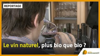 Le vin naturel plus bio que bio [upl. by Roehm]