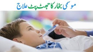 Mausami Bukhar Ka Ilaj  Viral Fever Treatment in Urdu [upl. by Beichner625]