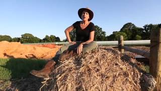 Caddo Indian Artifacts on Julia Trigg Crawfords Farm [upl. by Easter656]