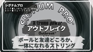 『ボールと友達どころか、一体になれるストリング』ＡＴＰランキング8位までかけあがったマティオ・ベレティーニ選手も信頼を置き、使用するドイツのストリングメーカ、シグナムプロ。アウトブレイクの紹介です。 [upl. by Oznol]