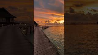 OZEN RESERVE BOLIFUSHI  Sunset [upl. by Anahsat]