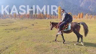 Kashmir Travel Series 2024 [upl. by Nathanael]