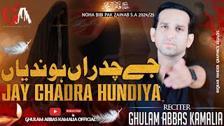 Jay Chadran Hondian  Ghulam Abbas Kamalia  New Nohay 2024  Noha  Noha BiBi Zainab  Mola Hussain [upl. by Oirobil]