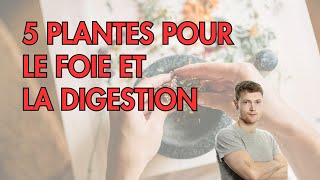 5 PLANTES pour soutenir le FOIE et la digestion [upl. by Mace]