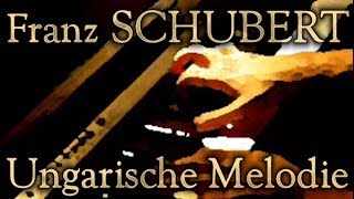 Franz SCHUBERT Ungarische Melodie D817 [upl. by Anuahsed809]