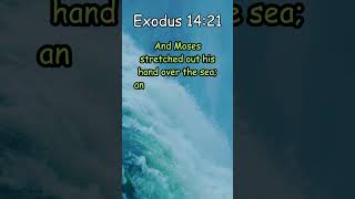 Exodus 1421 KJV Miracle  The Parting of the Red Sea [upl. by Mila]