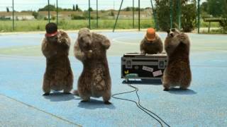 Marmottes de france 3 [upl. by Pessa]