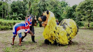 NGOAN MACAN KOROS TATEMOH BIK MACAN RAJEH  komedi madura maong remas [upl. by Agathe]