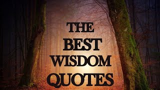 The Greatest Wisdom Quotes [upl. by Tiffa]